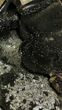Septarian Dragon Egg Geode - Black Crystals #110881-2